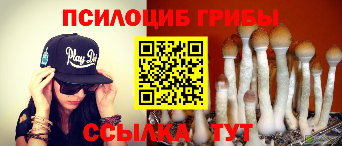Галлюциногенные грибы MAGIC MUSHROOMS Железногорск