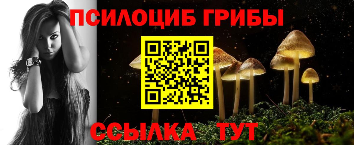 Галлюциногенные грибы Psilocybine cubensis  Псилоцибиновые грибы ЛСД  Вход с VPN  Железногорск 